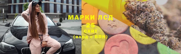 индика Абаза