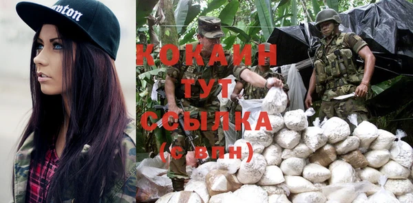 индика Абаза