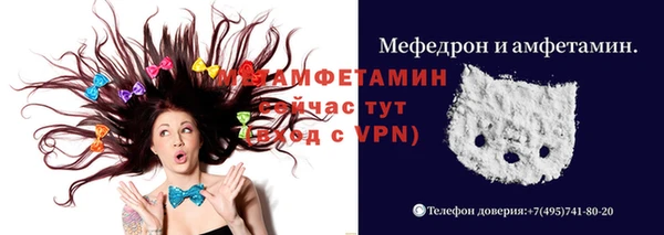 индика Абаза