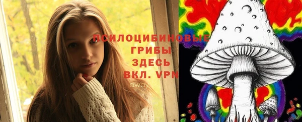 соль ск Алзамай