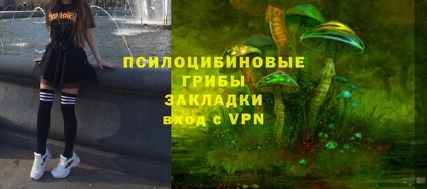 соль ск Алзамай