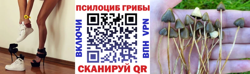 MEGA маркетплейс  Новопавловск  Галлюциногенные грибы ЛСД  купить закладку 